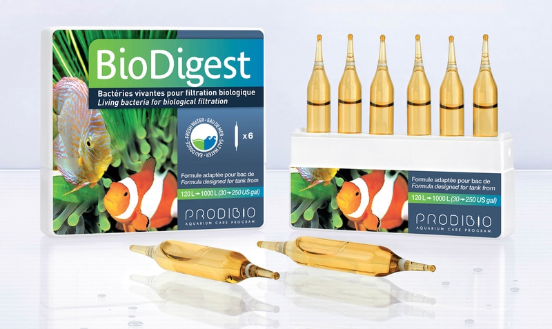 Prodibio BIODIGEST - 6 ampolle