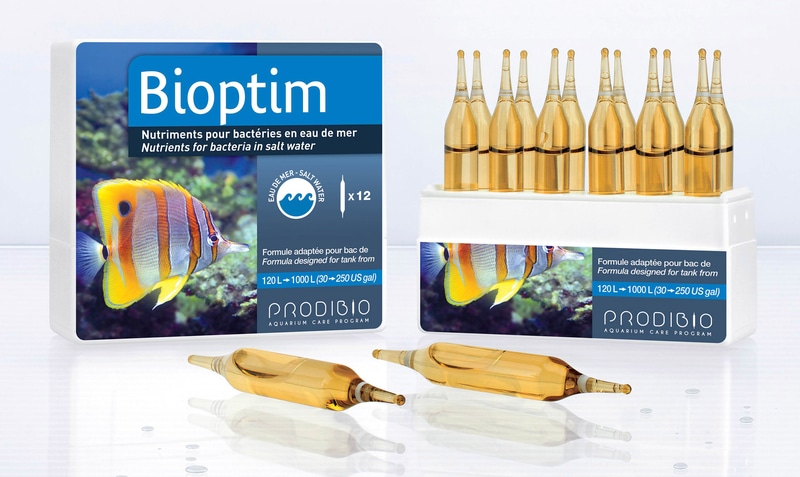 Prodibio BIOPTIM marino - 12 ampolle
