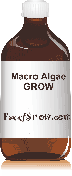 Macroalgae Grow