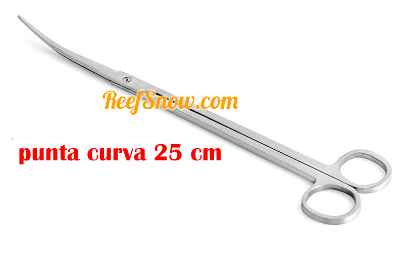 Forbice acciaio aquascaping - punte curve 25 cm