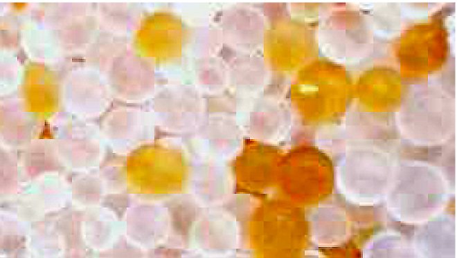 Silical Gel